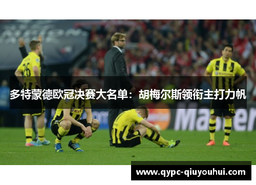 多特蒙德欧冠决赛大名单：胡梅尔斯领衔主打力帆